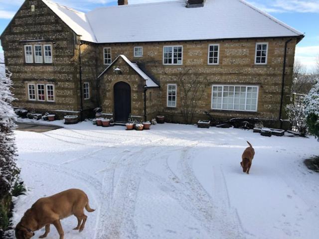 Whiteways Farmhouse Buckland Newton Kültér fotó